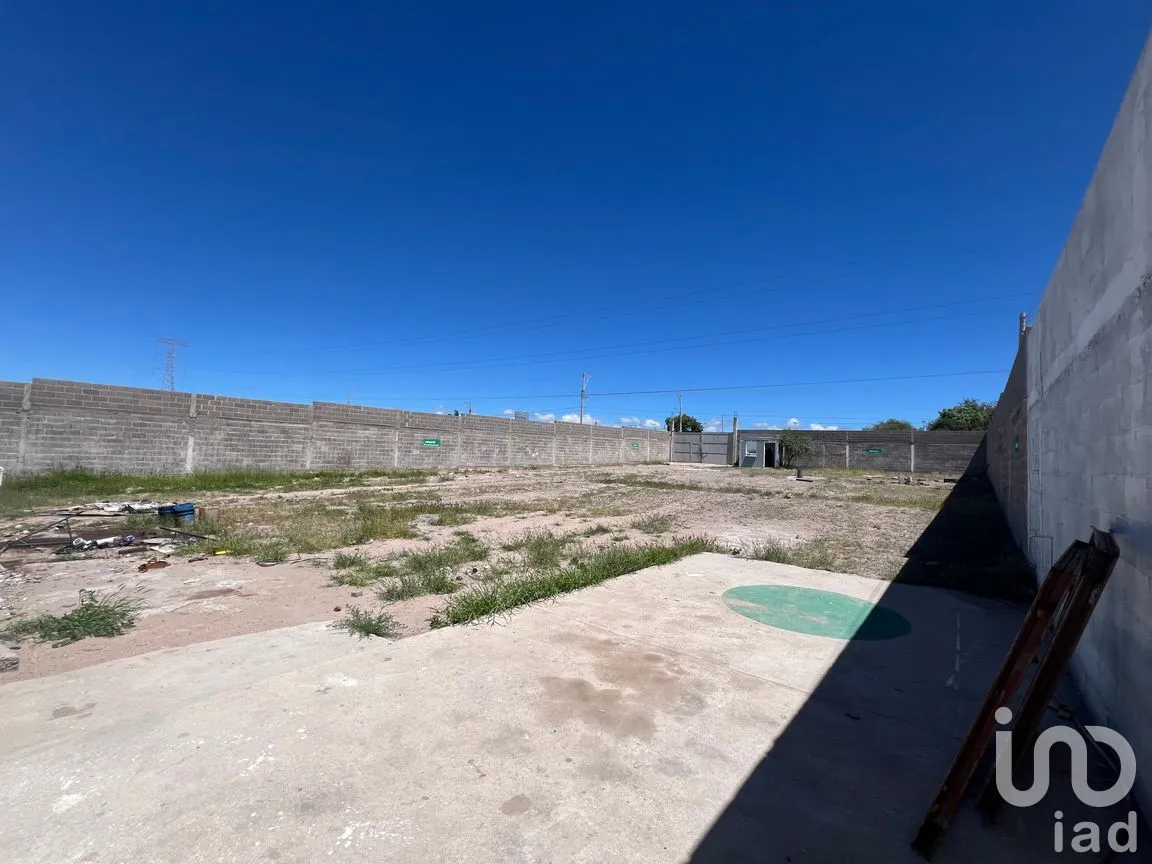Terreno en Renta en San Nicolás de los Jassos, San Luis Potosí, San Luis Potosí | NEX-259599 | iad México | Foto 8 de 12