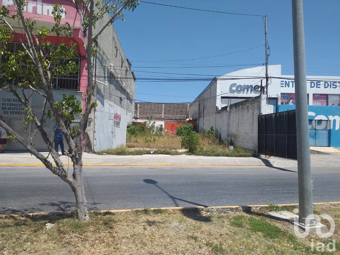 Terreno en Venta en La Paz, Campeche, Campeche | NEX-146968 | iad México | Foto 7 de 12