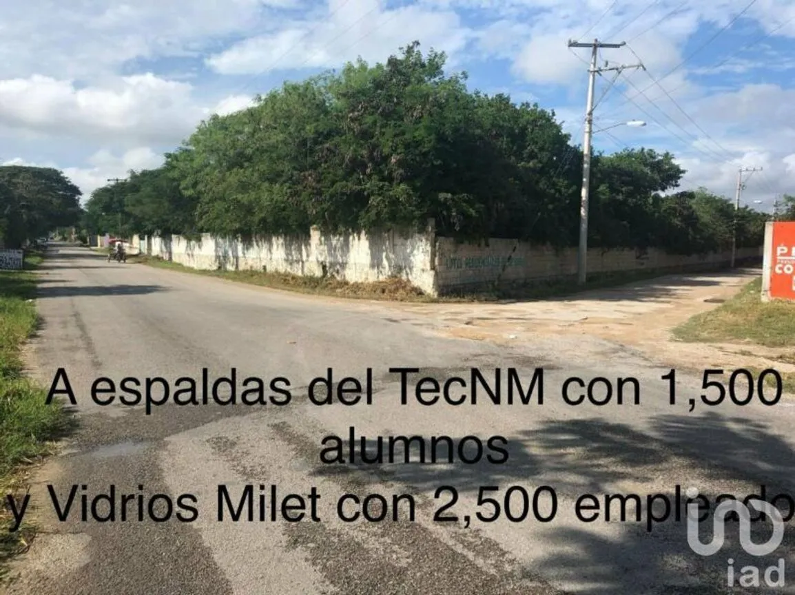 Terreno en Venta en Conkal, Conkal, Yucatán | NEX-84384 | iad México | Foto 8 de 14