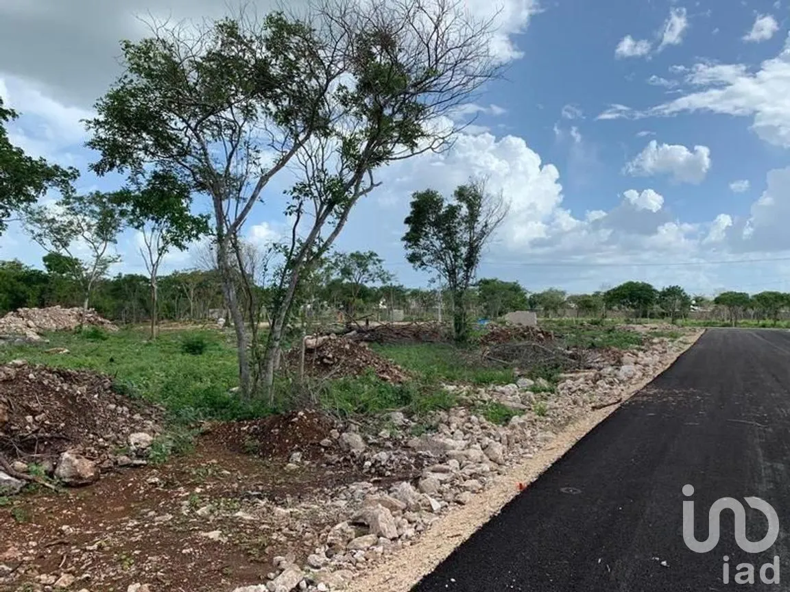Terreno en Venta en Conkal, Conkal, Yucatán | NEX-269538 | iad México | Foto 3 de 5