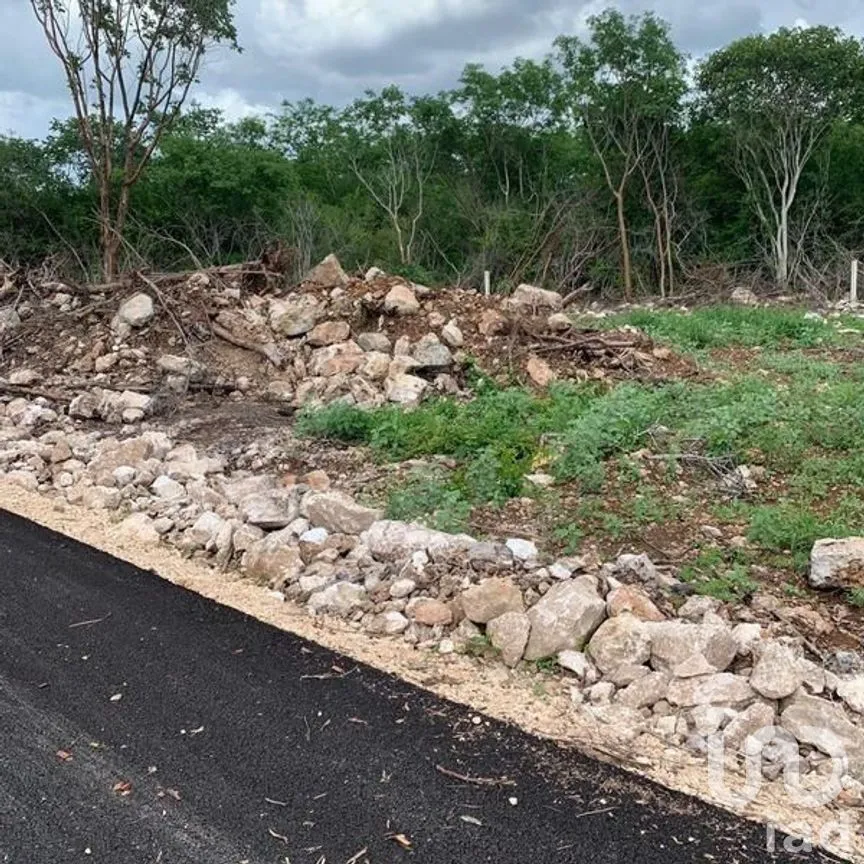 Terreno en Venta en Conkal, Conkal, Yucatán | NEX-269538 | iad México | Foto 5 de 5