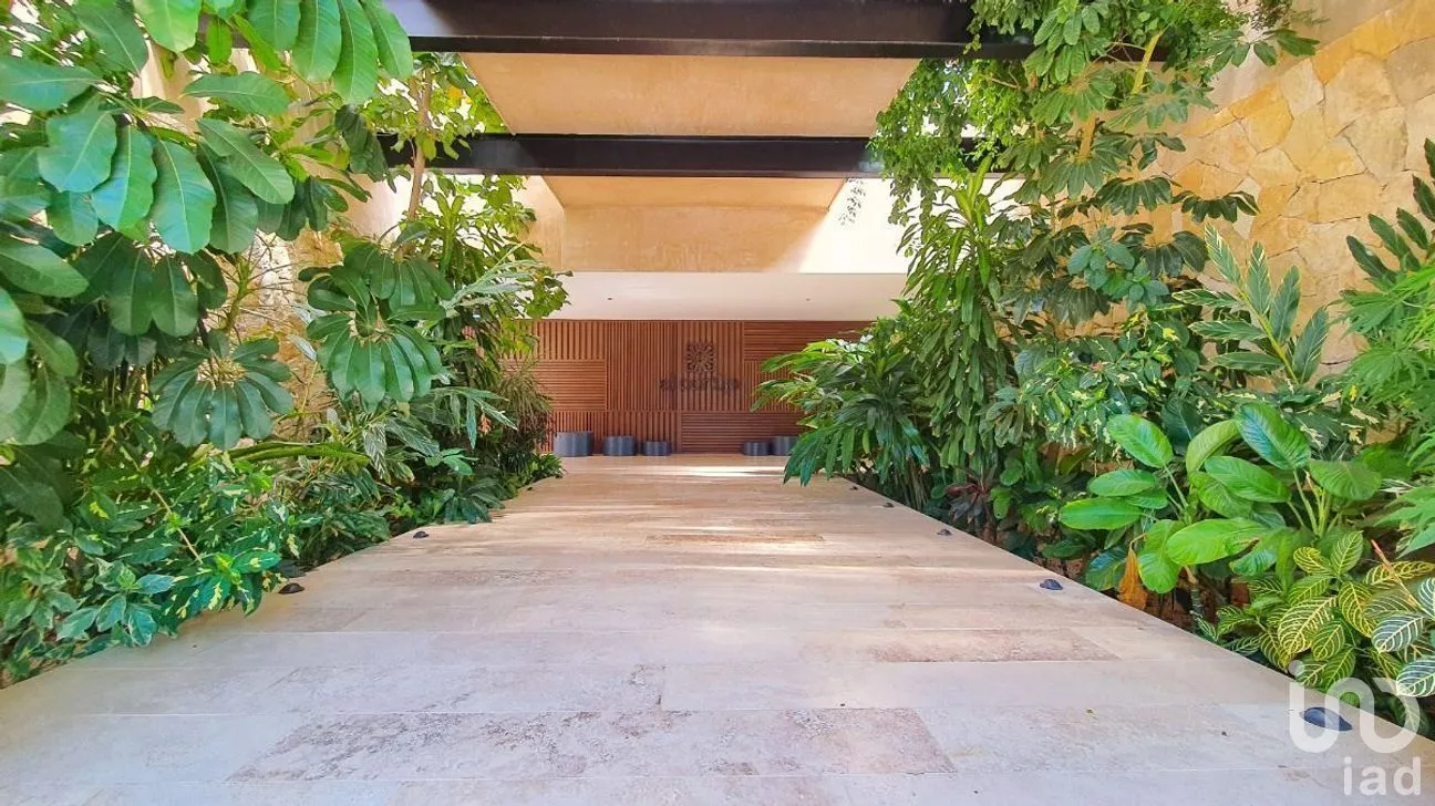 Terreno en Venta en Dzibilchaltún, Mérida, Yucatán | NEX-284240 | iad México | Foto 4 de 15