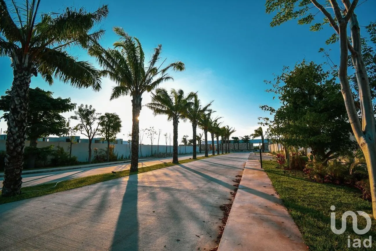 Terreno en Venta en Cholul, Mérida, Yucatán | NEX-284683 | iad México | Foto 18 de 19