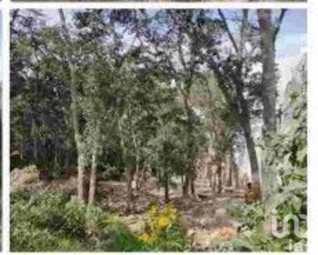 Terreno en Venta en Condado de Sayavedra, Atizapán de Zaragoza, Estado De México | NEX-229995 | iad México | Foto 7 de 10