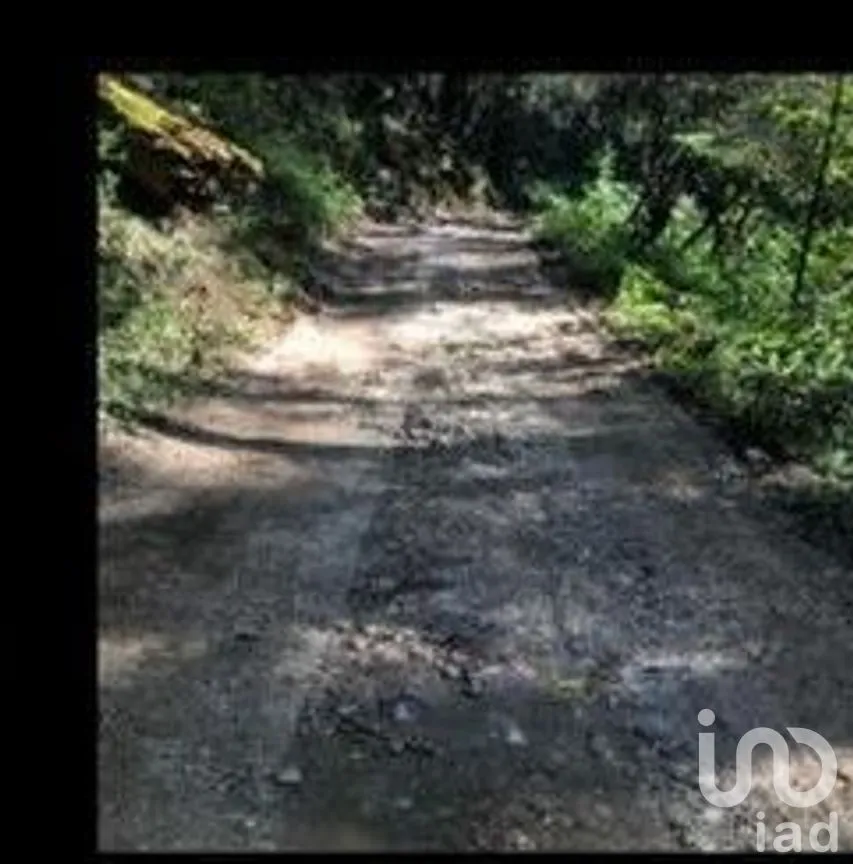 Terreno en Venta en Santa María Mazatla, Jilotzingo, Estado De México | NEX-230009 | iad México | Foto 3 de 5