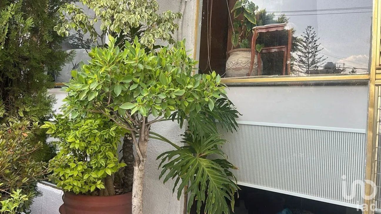 Casa en Venta en Ciudad Satélite, Naucalpan de Juárez, Estado De México | NEX-230022 | iad México | Foto 2 de 22