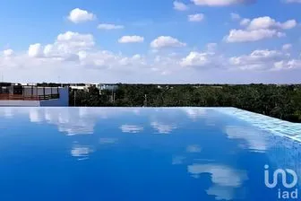 NEX-202322 - Departamento en Renta, con 1 recamara, con 1 baño, con 50 m2 de construcción.