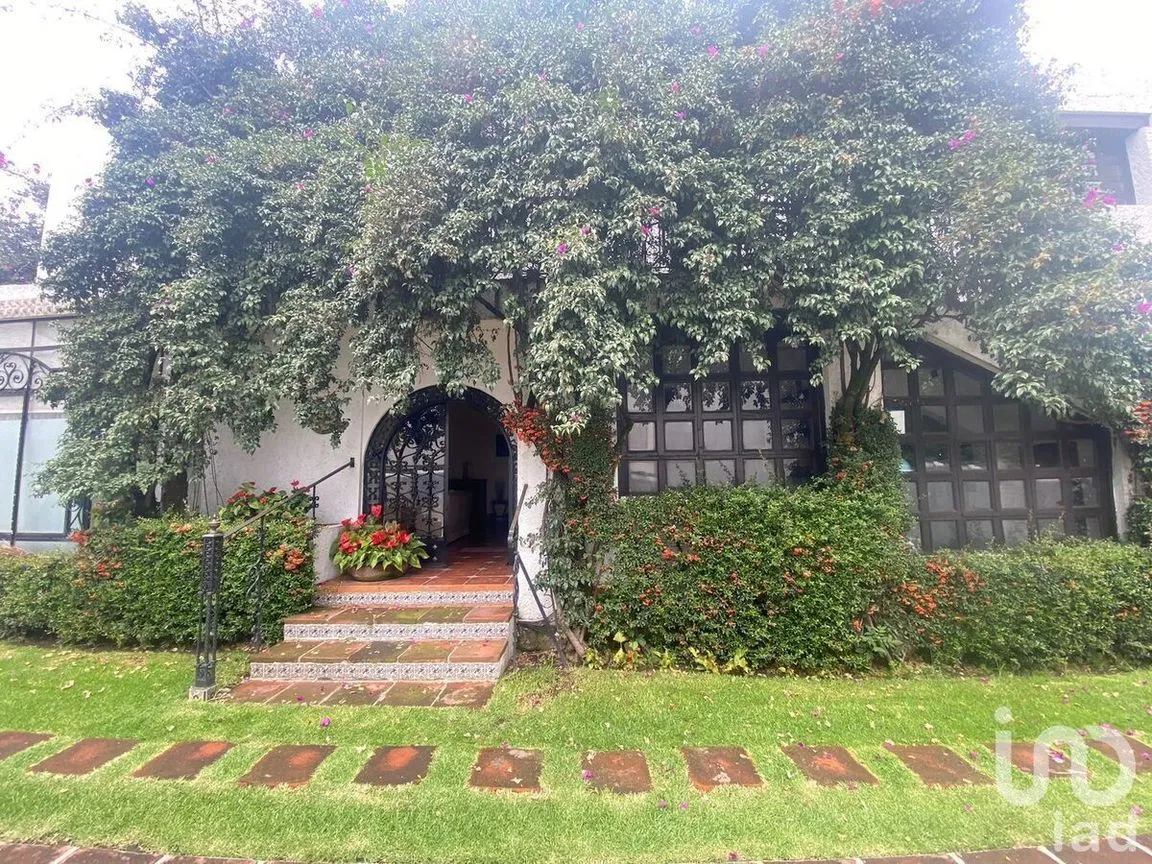 Departamento en Renta en Lomas de Chapultepec, Miguel Hidalgo, Ciudad de México | NEX-227417 | iad México | Foto 3 de 23