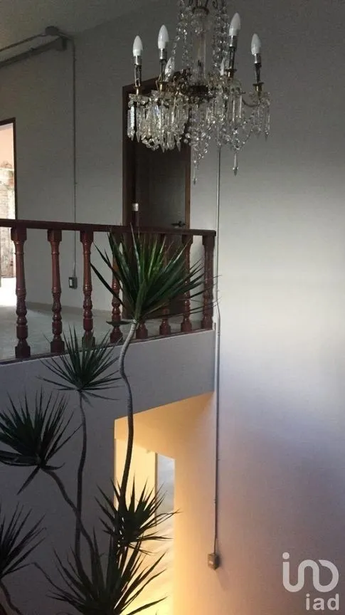 Casa en Renta en Polanco I Sección, Miguel Hidalgo, Ciudad de México | NEX-227426 | iad México | Foto 4 de 26