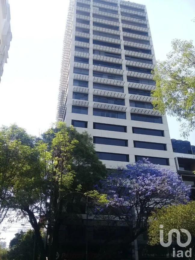 Oficina en Renta en Guadalupe Inn, Álvaro Obregón, Ciudad de México | NEX-227442 | iad México | Foto 3 de 3
