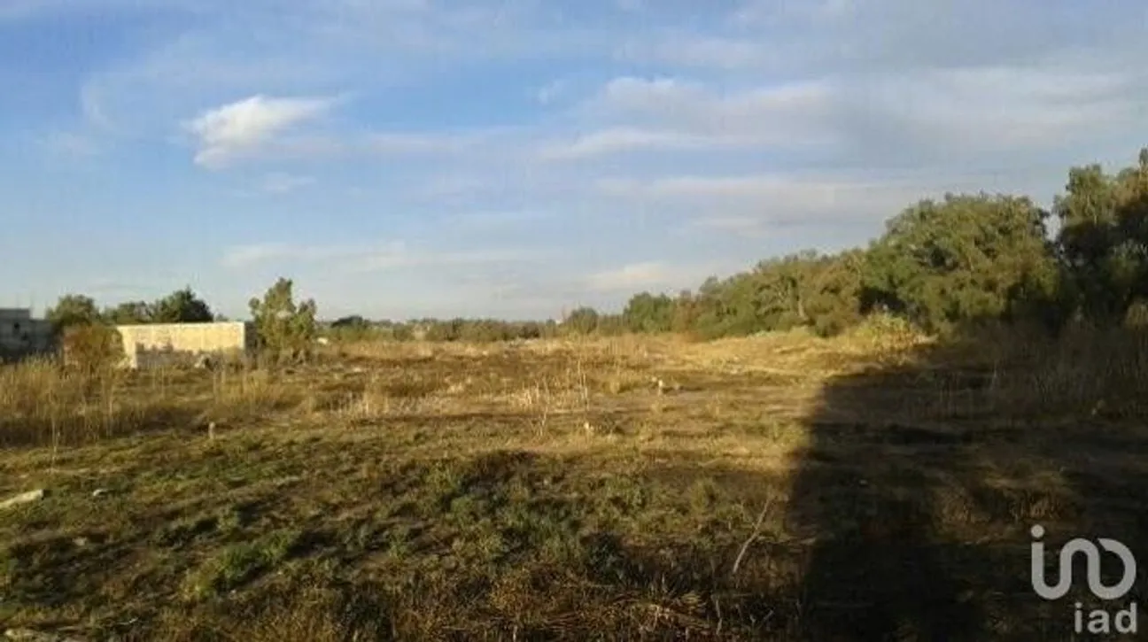 Terreno en Venta en San Miguel (Camino a Valle Hermoso), Zumpango, Estado De México | NEX-227455 | iad México | Foto 6 de 8