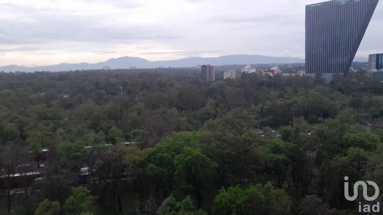 Departamento en Renta en Polanco I Sección, Miguel Hidalgo, Ciudad de México | NEX-227475 | iad México | Foto 37 de 43