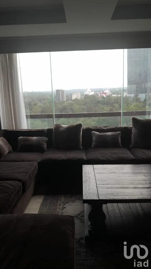 Departamento en Renta en Polanco I Sección, Miguel Hidalgo, Ciudad de México | NEX-227475 | iad México | Foto 38 de 43