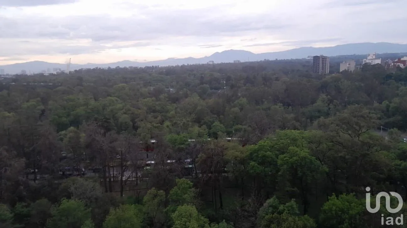 Departamento en Renta en Polanco I Sección, Miguel Hidalgo, Ciudad de México | NEX-227475 | iad México | Foto 39 de 43