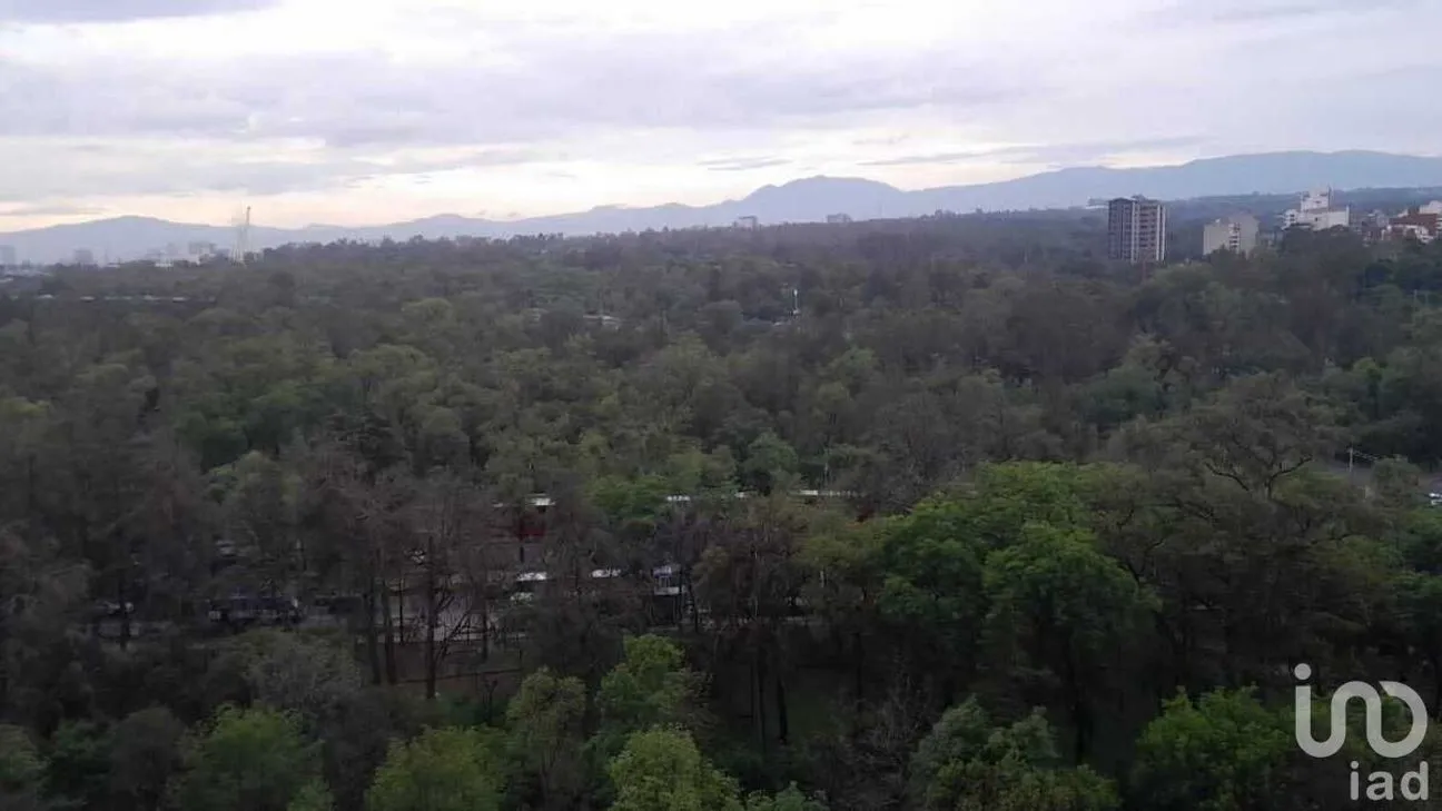 Departamento en Renta en Polanco I Sección, Miguel Hidalgo, Ciudad de México | NEX-227475 | iad México | Foto 41 de 43