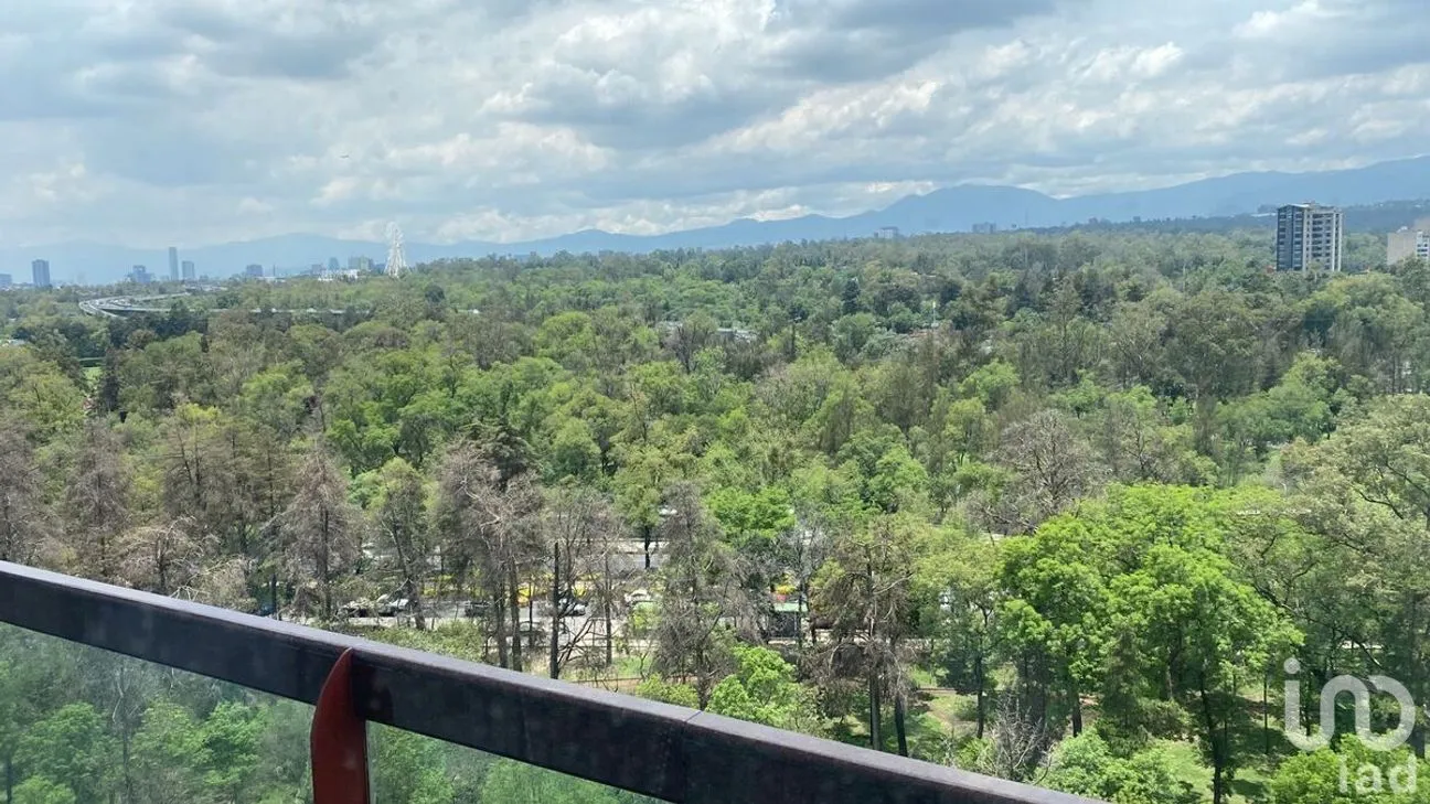 Departamento en Renta en Polanco I Sección, Miguel Hidalgo, Ciudad de México | NEX-227475 | iad México | Foto 42 de 43