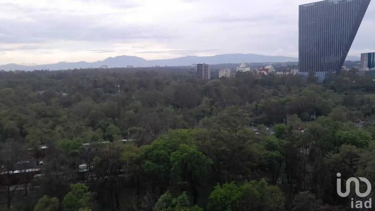 Departamento en Renta en Polanco I Sección, Miguel Hidalgo, Ciudad de México | NEX-227475 | iad México | Foto 43 de 43