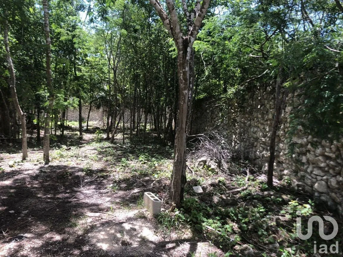 Terreno en Venta en La Veleta, Tulum, Quintana Roo | NEX-227478 | iad México | Foto 1 de 2
