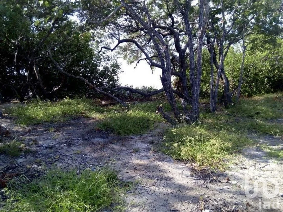 Terreno en Venta en Isla Blanca, Isla Mujeres, Quintana Roo | NEX-227512 | iad México | Foto 2 de 7