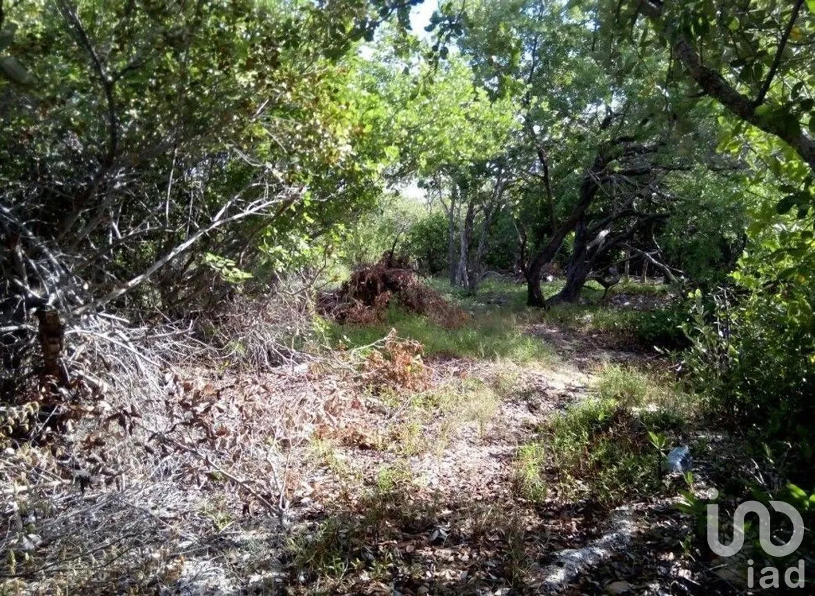 Terreno en Venta en Isla Blanca, Isla Mujeres, Quintana Roo | NEX-227512 | iad México | Foto 4 de 7