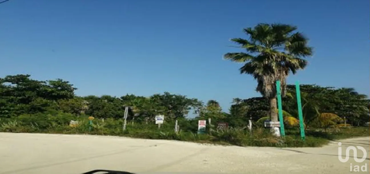 Terreno en Venta en Chiquila, Lázaro Cárdenas, Quintana Roo | NEX-227517 | iad México | Foto 5 de 7