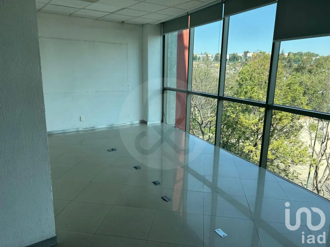 Oficina en Renta en Lomas de Chapultepec, Miguel Hidalgo, Ciudad de México | NEX-227543 | iad México | Foto 3 de 5