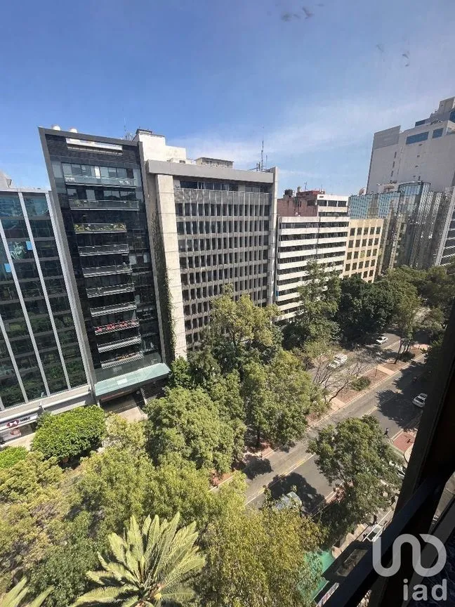 Oficina en Renta en Nápoles, Benito Juárez, Ciudad de México | NEX-227571 | iad México | Foto 9 de 26