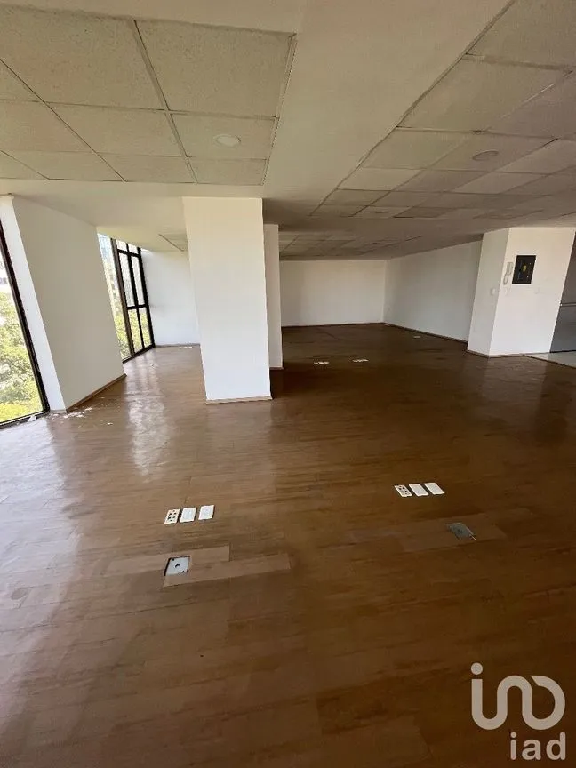Oficina en Renta en Nápoles, Benito Juárez, Ciudad de México | NEX-227572 | iad México | Foto 13 de 20