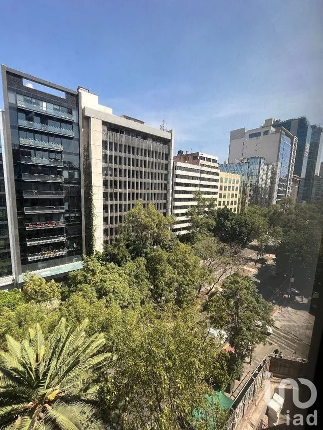 Oficina en Renta en Nápoles, Benito Juárez, Ciudad de México | NEX-227572 | iad México | Foto 16 de 20