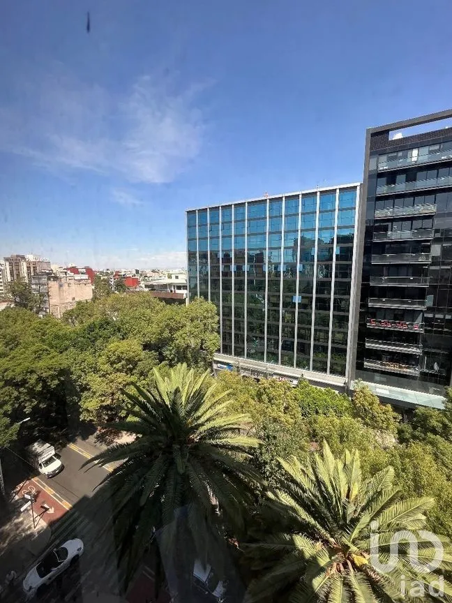 Oficina en Renta en Nápoles, Benito Juárez, Ciudad de México | NEX-227572 | iad México | Foto 17 de 20