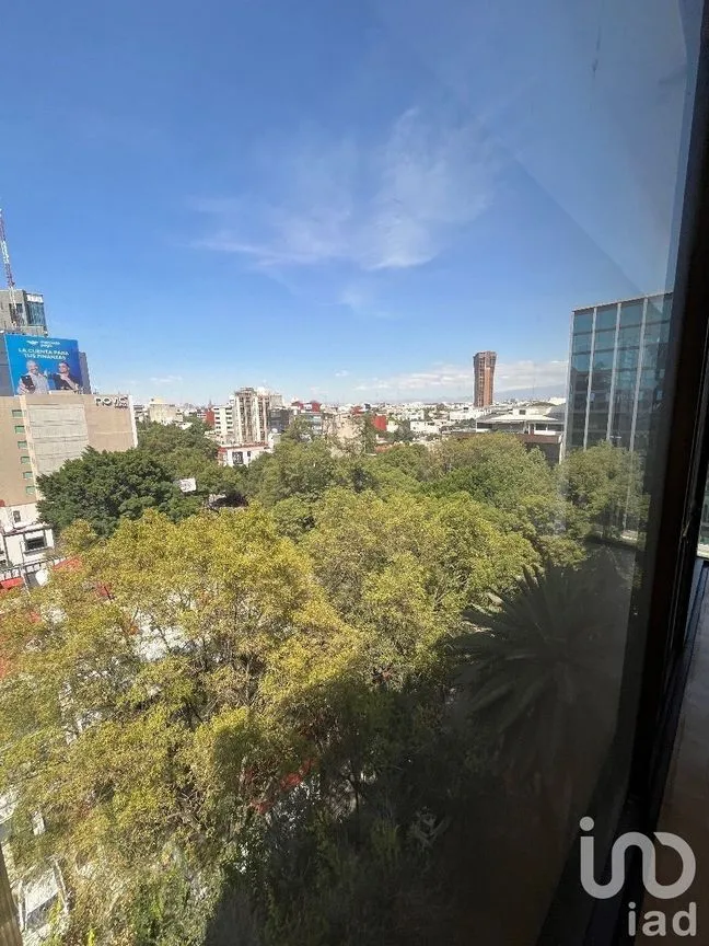 Oficina en Renta en Nápoles, Benito Juárez, Ciudad de México | NEX-227572 | iad México | Foto 6 de 20