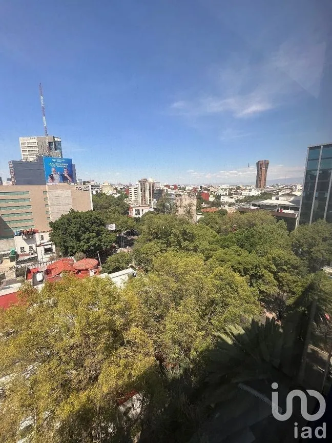 Oficina en Renta en Nápoles, Benito Juárez, Ciudad de México | NEX-227577 | iad México | Foto 14 de 25