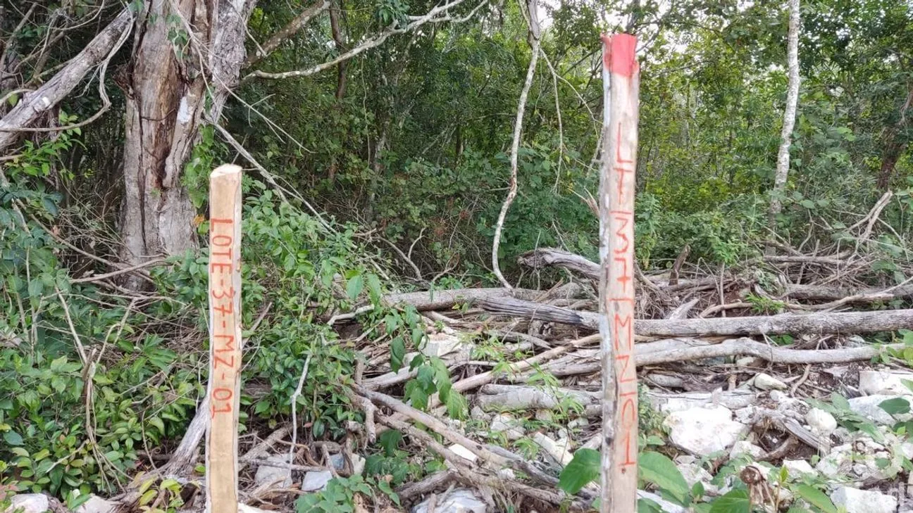 Terreno en Venta en Tulum Centro, Tulum, Quintana Roo | NEX-227630 | iad México | Foto 7 de 10