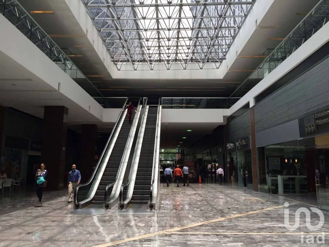 Oficina en Renta en Polanco I Sección, Miguel Hidalgo, Ciudad de México | NEX-227665 | iad México | Foto 5 de 6