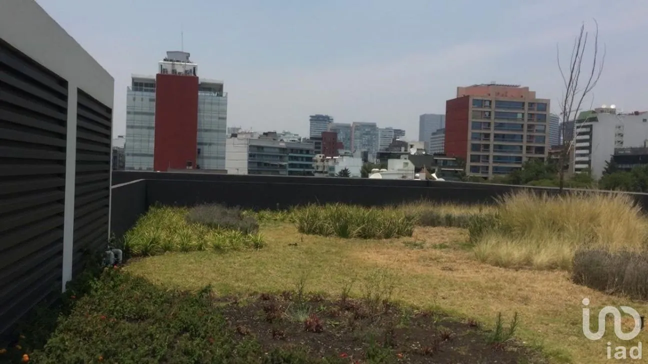 Oficina en Renta en Polanco I Sección, Miguel Hidalgo, Ciudad de México | NEX-227693 | iad México | Foto 6 de 16