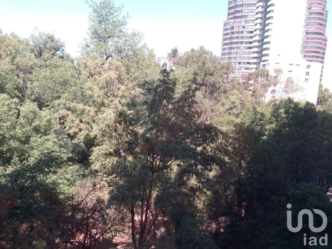 Departamento en Venta en Polanco I Sección, Miguel Hidalgo, Ciudad de México | NEX-227697 | iad México | Foto 20 de 22