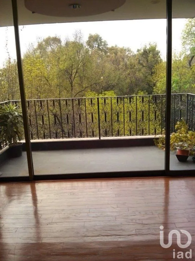 Departamento en Venta en Polanco I Sección, Miguel Hidalgo, Ciudad de México | NEX-227697 | iad México | Foto 3 de 22