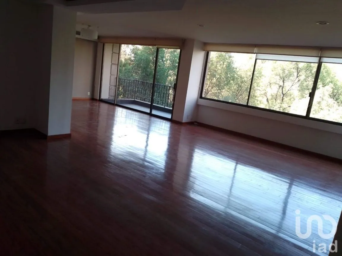 Departamento en Venta en Polanco I Sección, Miguel Hidalgo, Ciudad de México | NEX-227697 | iad México | Foto 21 de 22