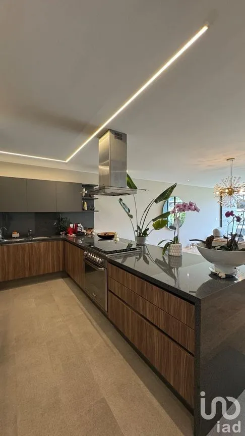 Departamento en Venta en Polanco IV Sección, Miguel Hidalgo, Ciudad de México | NEX-229911 | iad México | Foto 4 de 9