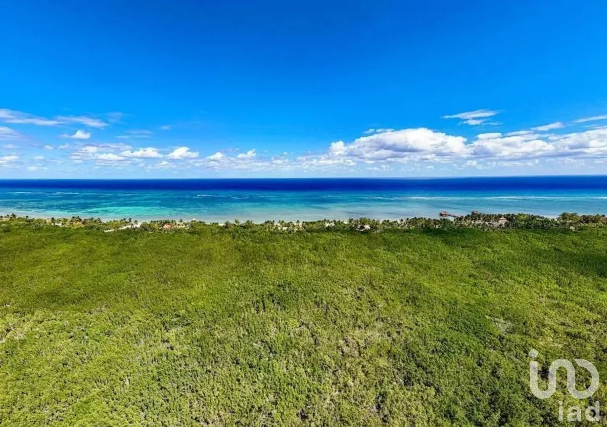 Terreno en Venta en Mahahual, Othón P. Blanco, Quintana Roo | NEX-231068 | iad México | Foto 7 de 9