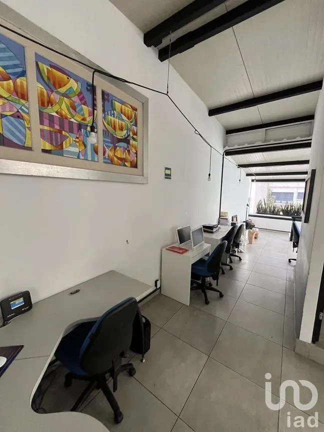 Oficina en Renta en Polanco V Sección, Miguel Hidalgo, Ciudad de México | NEX-231807 | iad México | Foto 15 de 35