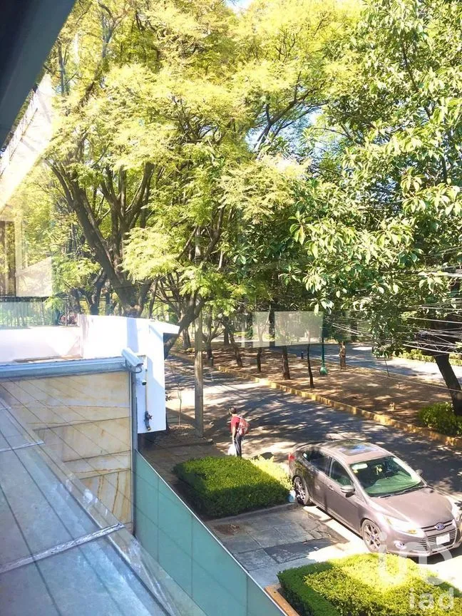 Departamento en Renta en Polanco I Sección, Miguel Hidalgo, Ciudad de México | NEX-232604 | iad México | Foto 24 de 27