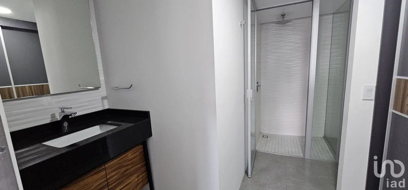 Departamento en Renta en Anzures, Miguel Hidalgo, Ciudad de México | NEX-227749 | iad México | Foto 17 de 26