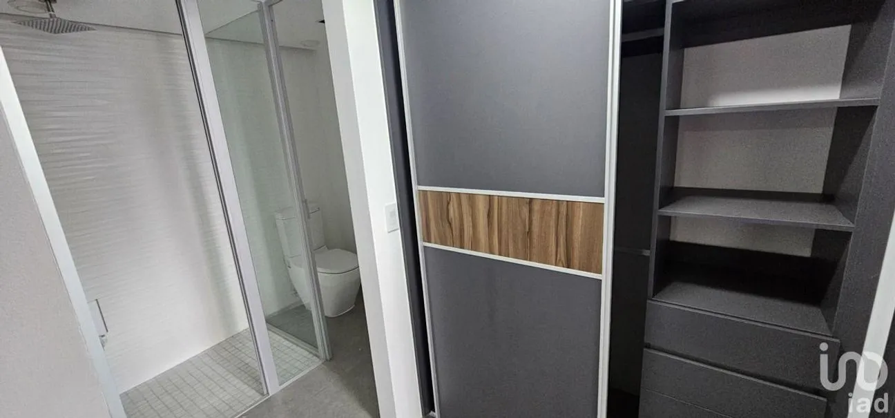 Departamento en Renta en Anzures, Miguel Hidalgo, Ciudad de México | NEX-227749 | iad México | Foto 20 de 26