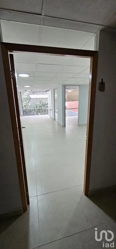 Oficina en Renta en Anzures, Miguel Hidalgo, Ciudad de México | NEX-227919 | iad México | Foto 3 de 8