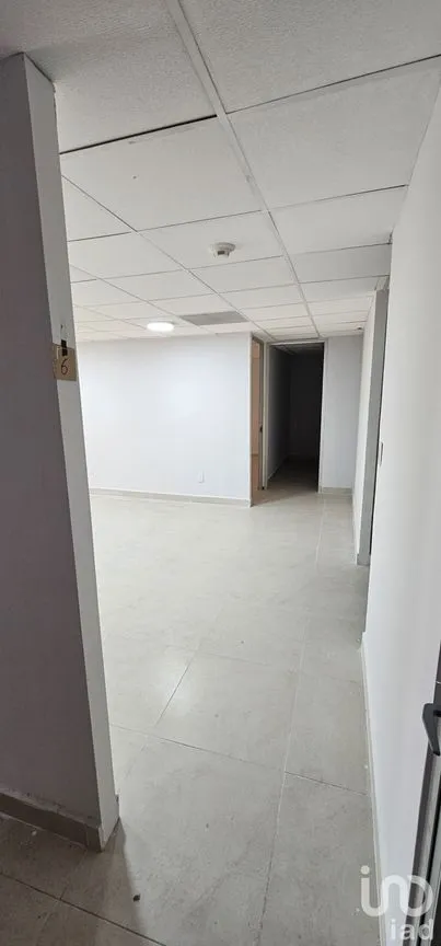 Oficina en Renta en Anzures, Miguel Hidalgo, Ciudad de México | NEX-227920 | iad México | Foto 4 de 10