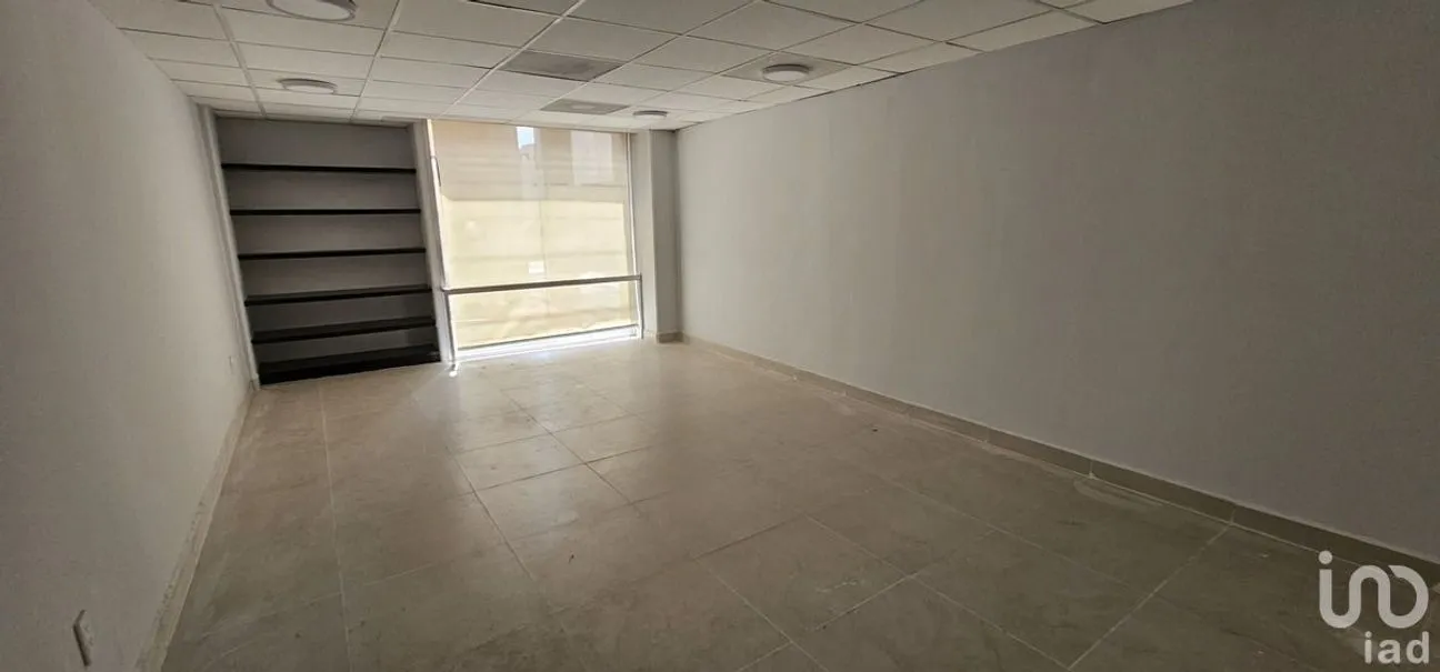 Oficina en Renta en Anzures, Miguel Hidalgo, Ciudad de México | NEX-227920 | iad México | Foto 7 de 10