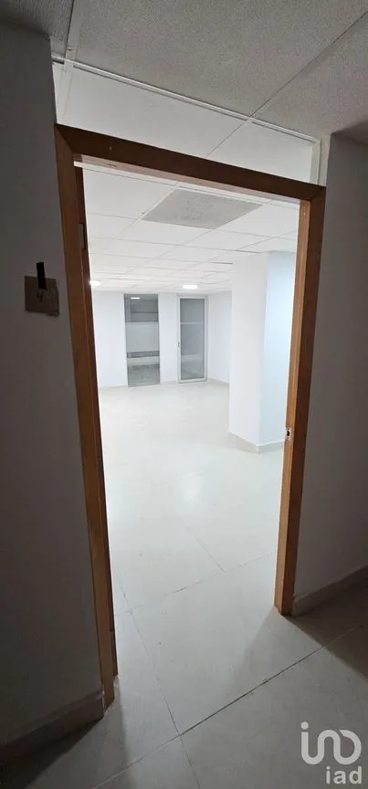 Oficina en Renta en Anzures, Miguel Hidalgo, Ciudad de México | NEX-227921 | iad México | Foto 4 de 11