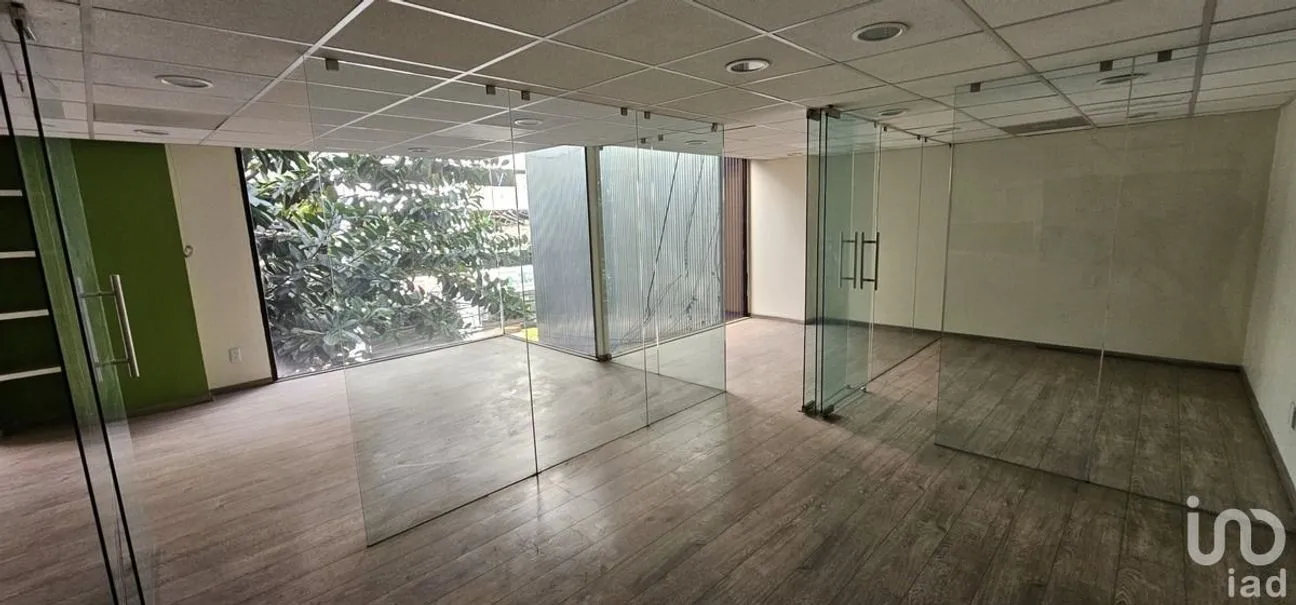 Oficina en Renta en Anzures, Miguel Hidalgo, Ciudad de México | NEX-227922 | iad México | Foto 12 de 16