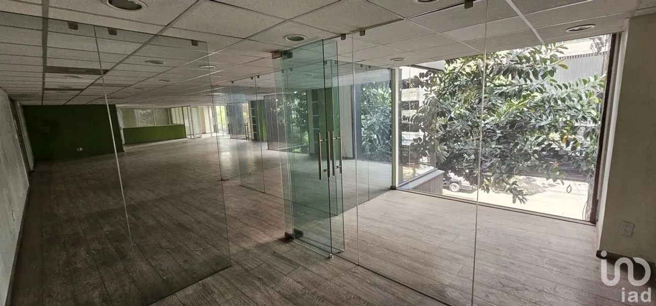 Oficina en Renta en Anzures, Miguel Hidalgo, Ciudad de México | NEX-227922 | iad México | Foto 13 de 16